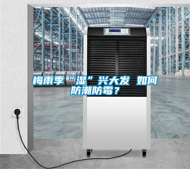 梅雨季“濕”興大發(fā) 如何防潮防霉？