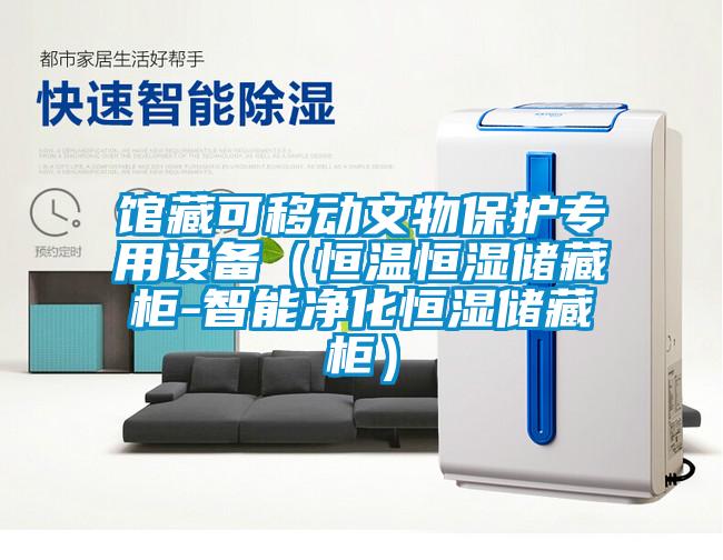 館藏可移動(dòng)文物保護專(zhuān)用設備（恒溫恒濕儲藏柜-智能凈化恒濕儲藏柜）