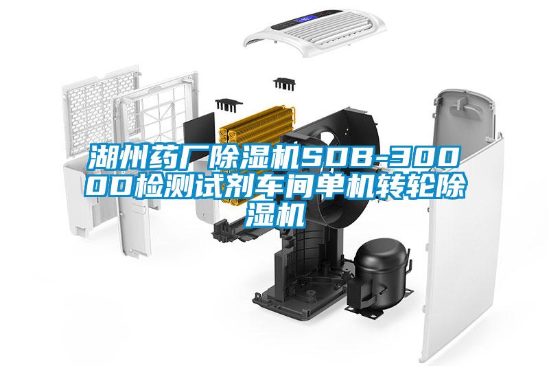 湖州藥廠(chǎng)除濕機SDB-3000D檢測試劑車(chē)間單機轉輪除濕機