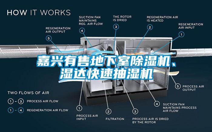 嘉興有售地下室除濕機、濕達快速抽濕機