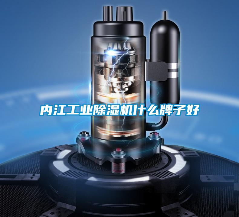 內江工業(yè)除濕機什么牌子好