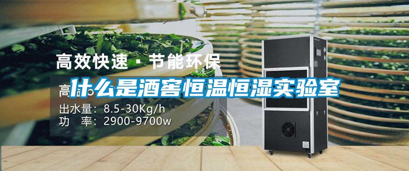 什么是酒窖恒溫恒濕實(shí)驗室