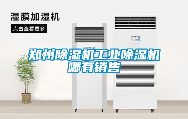 鄭州除濕機工業(yè)除濕機哪有銷(xiāo)售