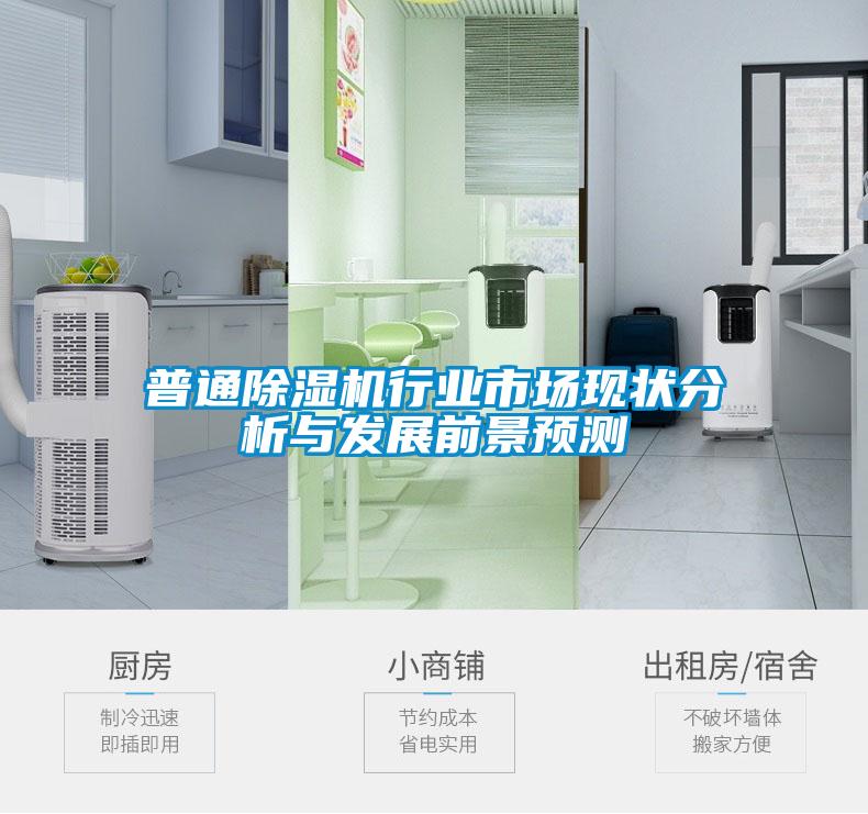 普通除濕機行業(yè)市場(chǎng)現狀分析與發(fā)展前景預測