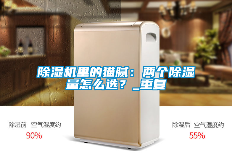 除濕機里的貓膩：兩個(gè)除濕量怎么選？_重復