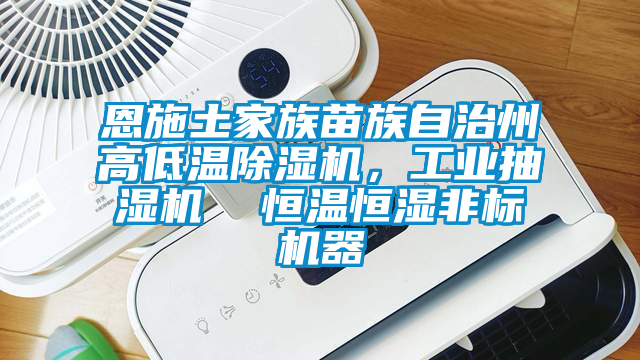 恩施土家族苗族自治州高低溫除濕機，工業(yè)抽濕機  恒溫恒濕非標機器