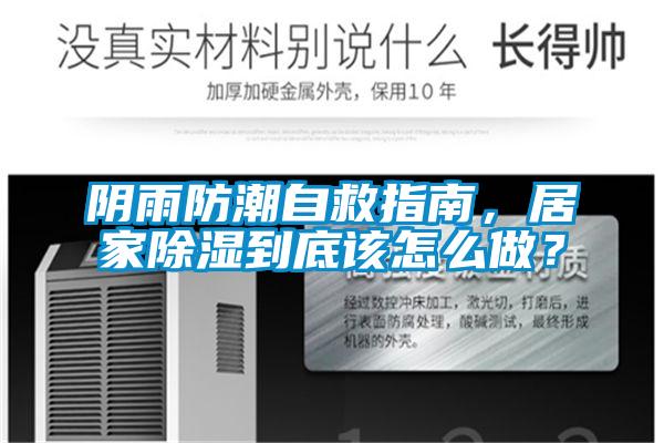 陰雨防潮自救指南，居家除濕到底該怎么做？