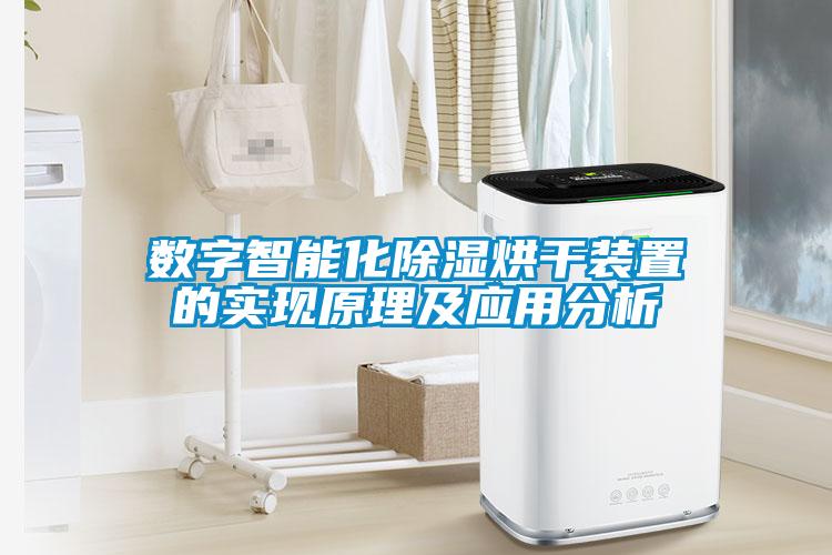 數字智能化除濕烘干裝置的實(shí)現原理及應用分析