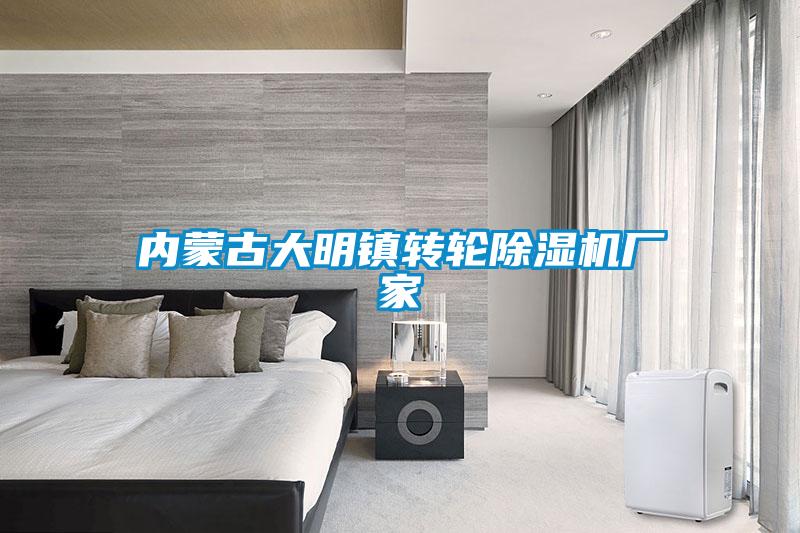 內蒙古大明鎮轉輪除濕機廠(chǎng)家
