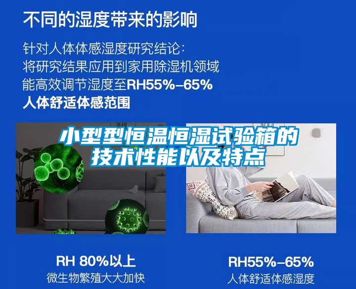 小型型恒溫恒濕試驗箱的技術(shù)性能以及特點(diǎn)