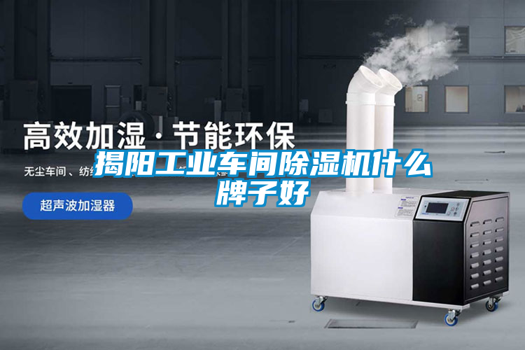 揭陽(yáng)工業(yè)車(chē)間除濕機什么牌子好