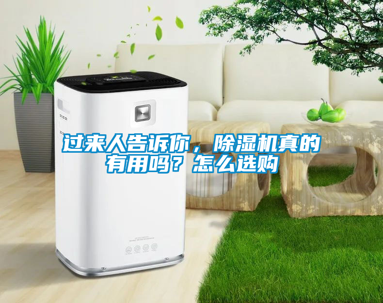過(guò)來(lái)人告訴你，除濕機真的有用嗎？怎么選購