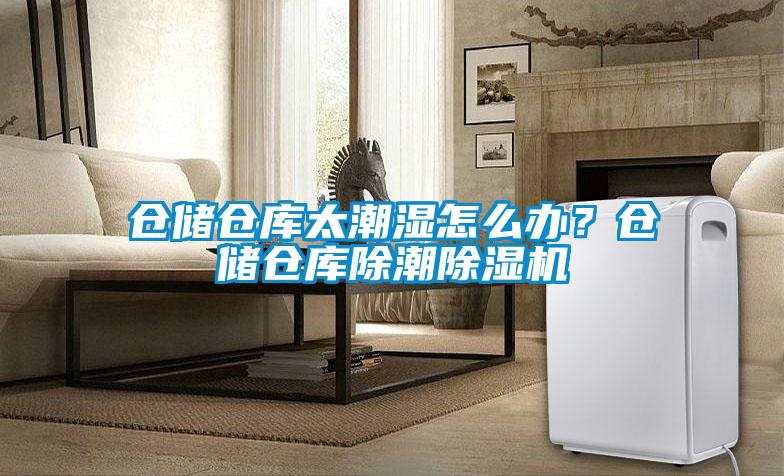 倉儲倉庫太潮濕怎么辦？倉儲倉庫除潮除濕機