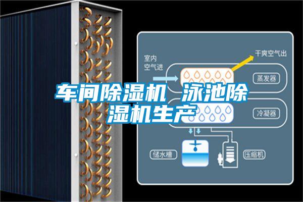 車(chē)間除濕機 泳池除濕機生產(chǎn)