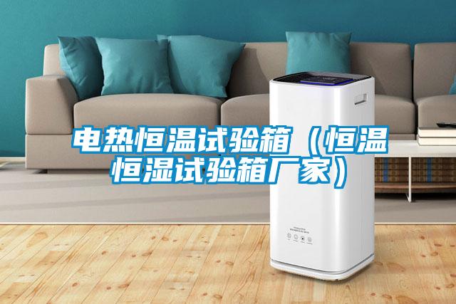 電熱恒溫試驗箱（恒溫恒濕試驗箱廠(chǎng)家）