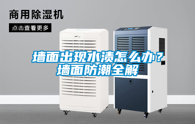 墻面出現水漬怎么辦？墻面防潮全解