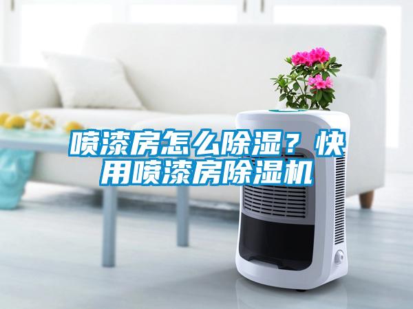 噴漆房怎么除濕？快用噴漆房除濕機