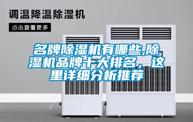 名牌除濕機有哪些,除濕機品牌十大排名，這里詳細分析推薦