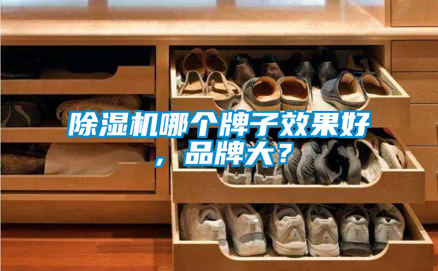 除濕機哪個(gè)牌子效果好，品牌大？