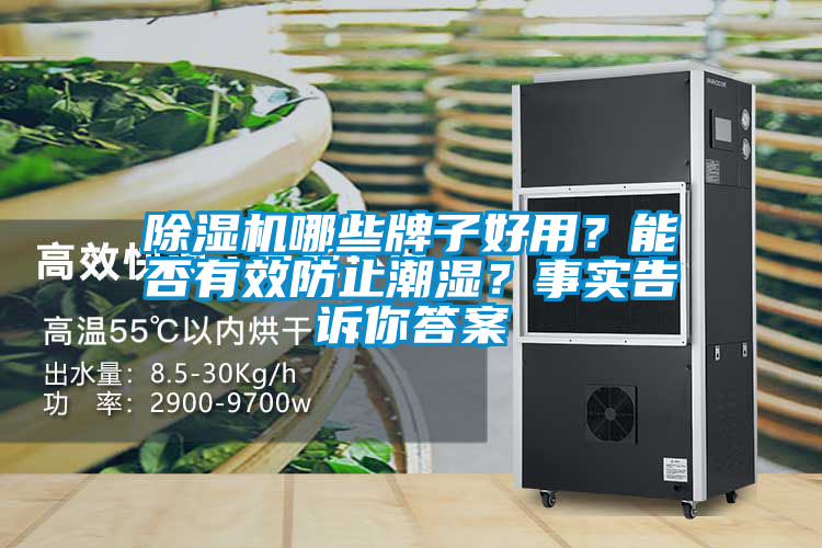 除濕機哪些牌子好用？能否有效防止潮濕？事實(shí)告訴你答案