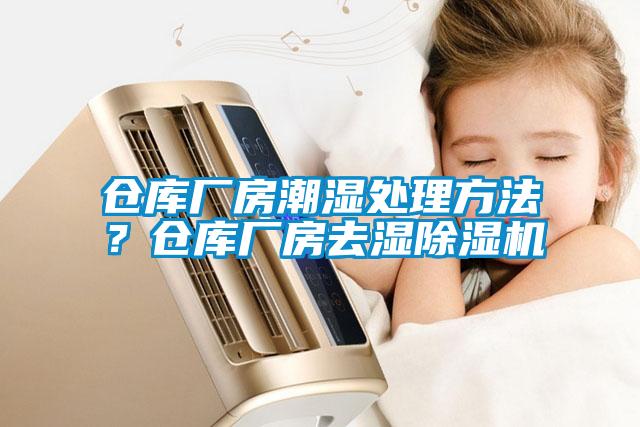 倉庫廠(chǎng)房潮濕處理方法？倉庫廠(chǎng)房去濕除濕機