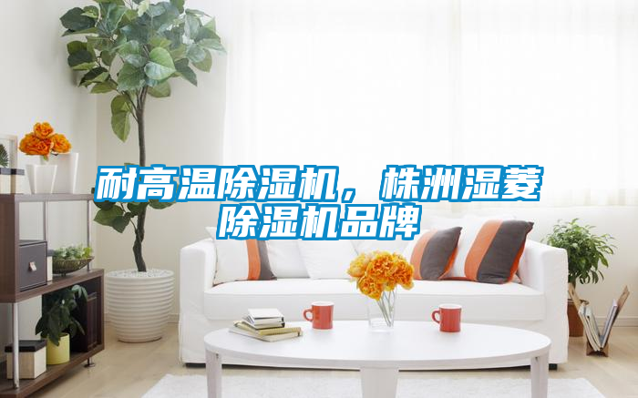 耐高溫除濕機，株洲濕菱除濕機品牌