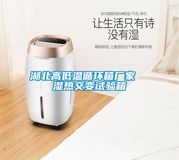 湖北高低溫循環(huán)箱廠(chǎng)家  濕熱交變試驗箱