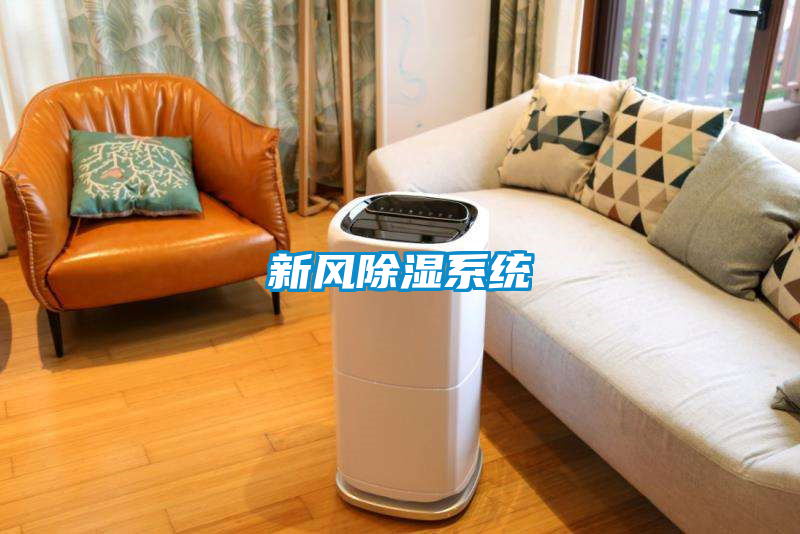 新風(fēng)除濕系統