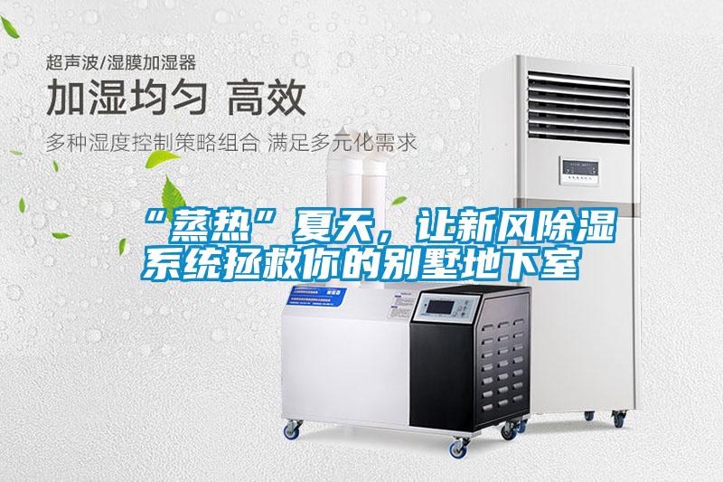 “蒸熱”夏天，讓新風(fēng)除濕系統拯救你的別墅地下室