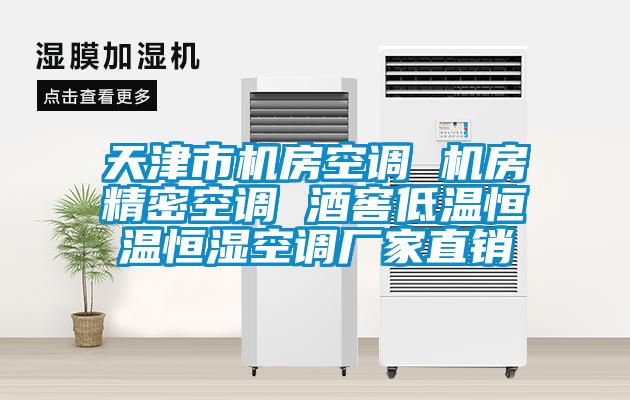 天津市機房空調 機房精密空調 酒窖低溫恒溫恒濕空調廠(chǎng)家直銷(xiāo)