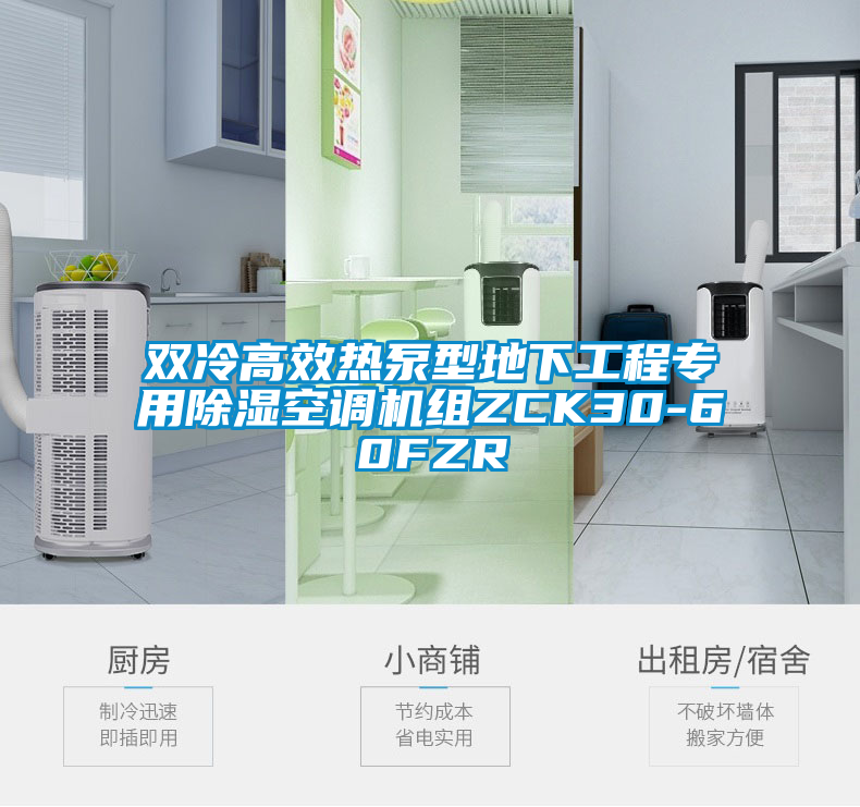 雙冷高效熱泵型地下工程專(zhuān)用除濕空調機組ZCK30-60FZR