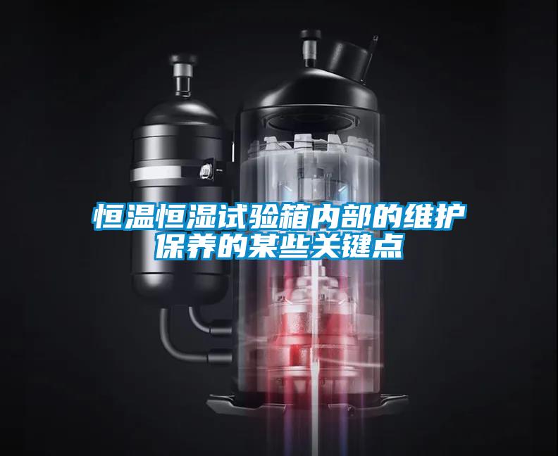 恒溫恒濕試驗箱內部的維護保養的某些關(guān)鍵點(diǎn)