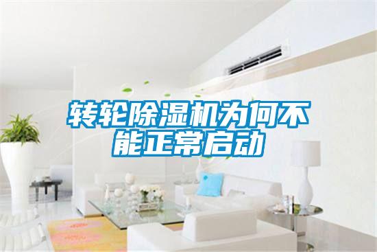 轉輪除濕機為何不能正常啟動(dòng)