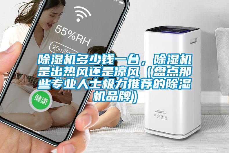 除濕機多少錢(qián)一臺，除濕機是出熱風(fēng)還是涼風(fēng)（盤(pán)點(diǎn)那些專(zhuān)業(yè)人士極力推薦的除濕機品牌）