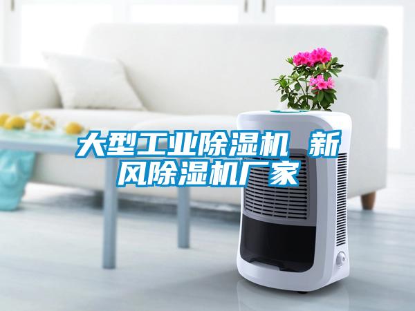 大型工業(yè)除濕機 新風(fēng)除濕機廠(chǎng)家
