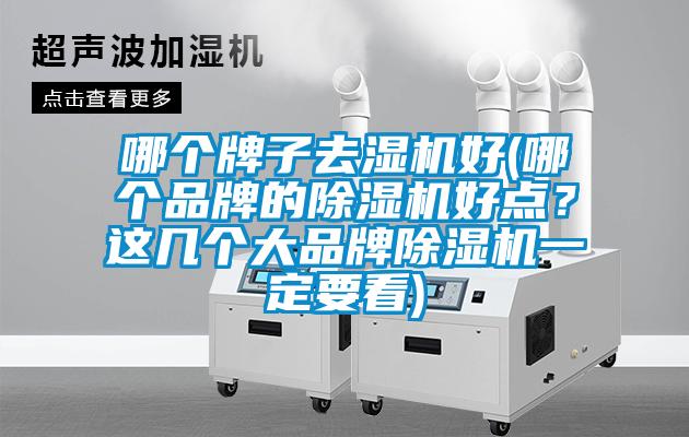 哪個(gè)牌子去濕機好(哪個(gè)品牌的除濕機好點(diǎn)？這幾個(gè)大品牌除濕機一定要看)