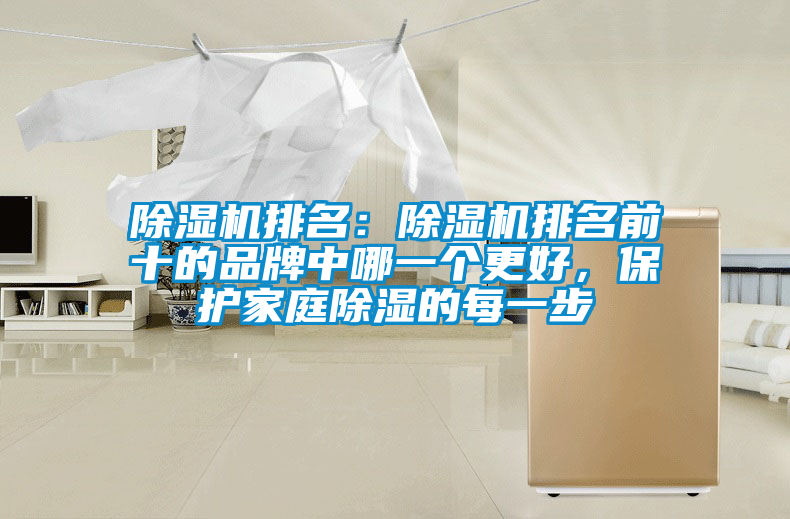 除濕機排名：除濕機排名前十的品牌中哪一個(gè)更好，保護家庭除濕的每一步