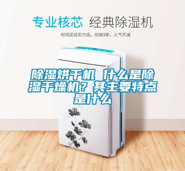 除濕烘干機 什么是除濕干燥機？其主要特點(diǎn)是什么