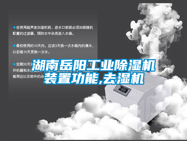 湖南岳陽(yáng)工業(yè)除濕機裝置功能,去濕機