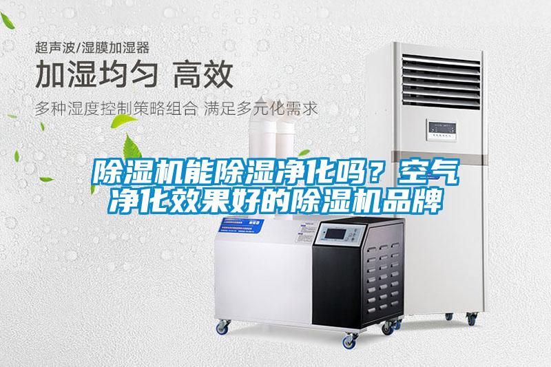 除濕機能除濕凈化嗎？空氣凈化效果好的除濕機品牌
