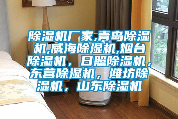 除濕機廠(chǎng)家,青島除濕機,威海除濕機,煙臺除濕機，日照除濕機，東營(yíng)除濕機，濰坊除濕機，山東除濕機
