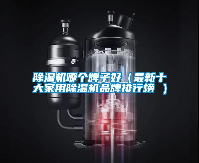 除濕機哪個(gè)牌子好（最新十大家用除濕機品牌排行榜 ）