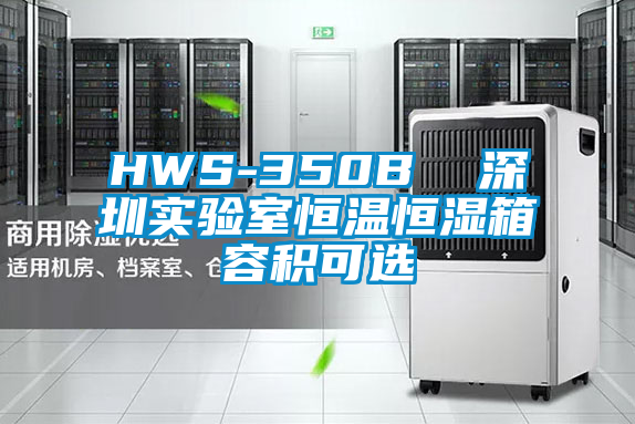 HWS-350B  深圳實(shí)驗室恒溫恒濕箱容積可選