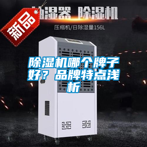 除濕機哪個(gè)牌子好？品牌特點(diǎn)淺析