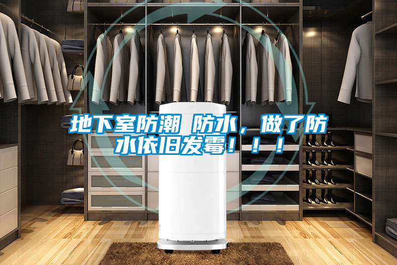 地下室防潮≠防水，做了防水依舊發(fā)霉?。?！