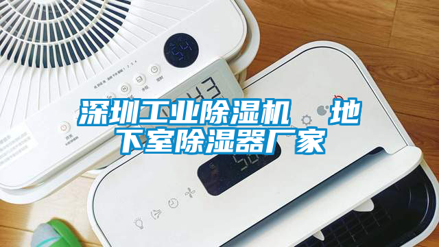 深圳工業(yè)除濕機  地下室除濕器廠(chǎng)家