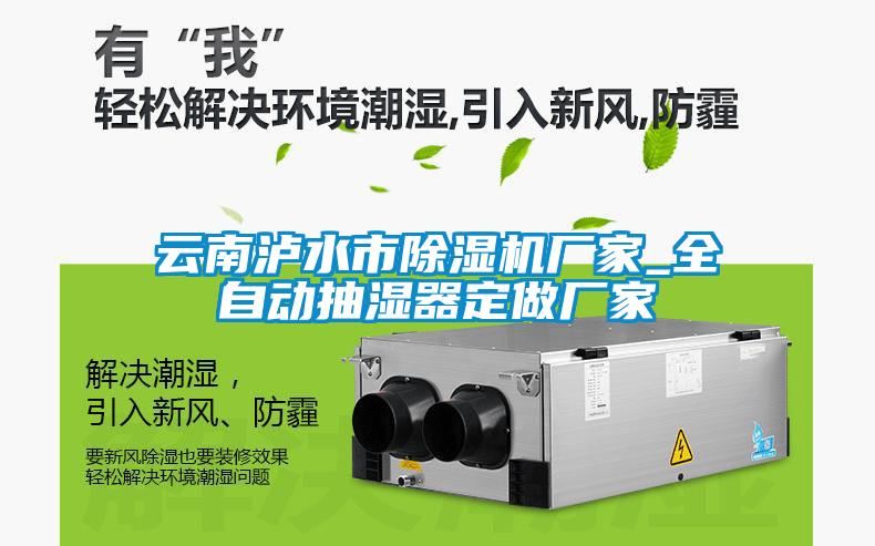 云南瀘水市除濕機廠(chǎng)家_全自動(dòng)抽濕器定做廠(chǎng)家