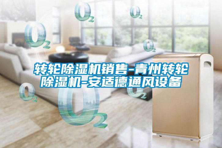 轉輪除濕機銷(xiāo)售-青州轉輪除濕機-安適德通風(fēng)設備