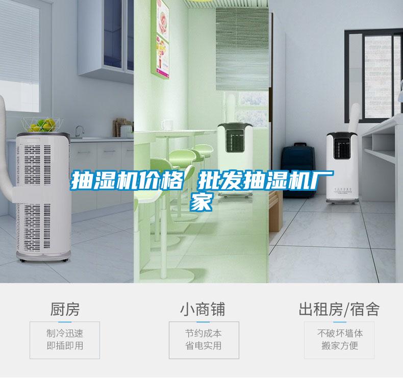 抽濕機價(jià)格 批發(fā)抽濕機廠(chǎng)家