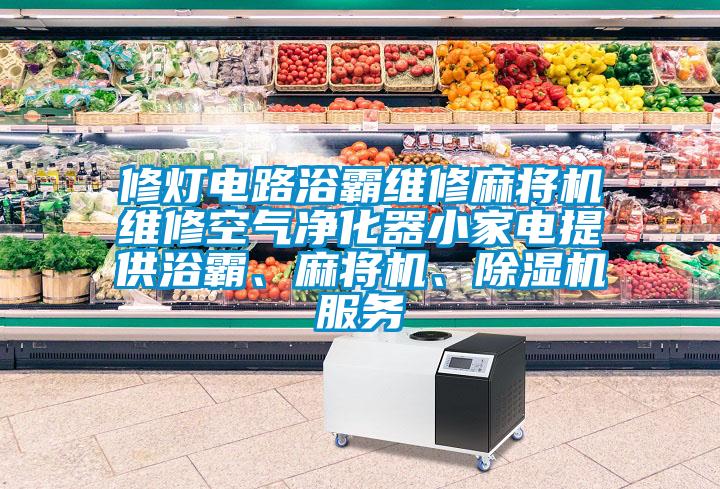 修燈電路浴霸維修麻將機維修空氣凈化器小家電提供浴霸、麻將機、除濕機服務(wù)
